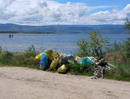 Gargano: Quasi 3 tonnellate di rifiuti raccolti nel secondo cleanup Plastic Free sul Lago di Varano